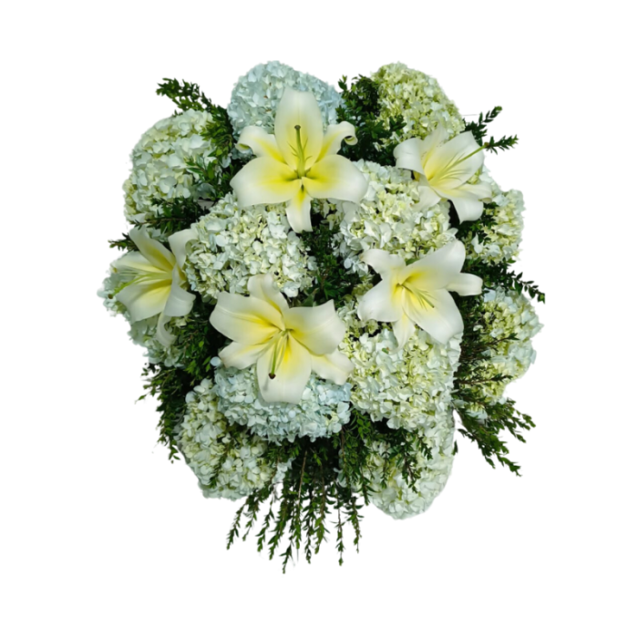 LAGRIMA DE LILIUM