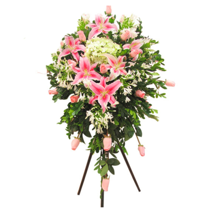 TRIPODE ROSADO